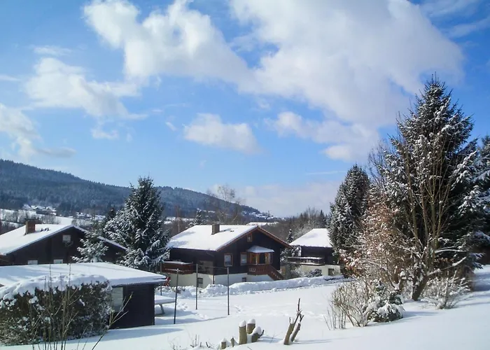Apartmán Am Hohen Bogen-65 By Interhome